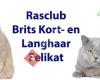 Onofficieel: Brits Korthaar Club Heemskerk