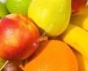 Origin Fruit Direct B.V.