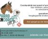 Paardencoach voor jou