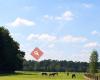 Paardenhoeve het Wildhuys