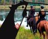 Paardenhotel Brabant