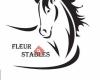 Paardenpension Fleur Stables & Farm Camps