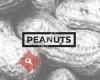 Peanuts - Food & Coaching