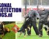 Personal Protection Dogs