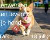 Pet Talk NL