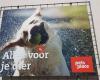 Pets Place Boerenbond Bergeijk