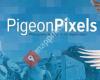 PigeonPixels