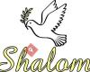 Pizzeria Shalom Ouddorp