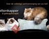 Poezels Kattenkapper & Gedragstherapie