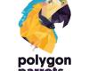 Polygon parrots