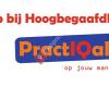 Practiqal voor Hoogbegaafdheid