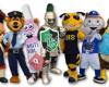 Promo Bears - Custom Mascot Costumes, Stuffed Animals and Character Design