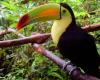 Quetzal Travel Belize, Costa Rica en Ecuador Specialist