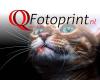 Quick & Quality Fotoprint
