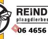 Reinders Plaagdierbestrijding