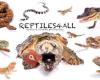 Reptiles4all