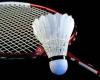 Rooise Badminton Club