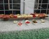 Rosetta Catering