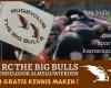 Rugbyclub The Big Bulls