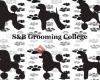 S&B Grooming College