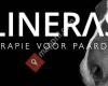 Salineras zouttherapie voor paarden