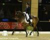 Salva Paardensport Coaching & Educatie