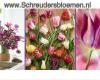 SchreudersBloemen B.V