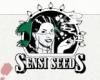 Sensi Seeds