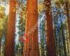 Sequoia Vermogensbeheer