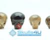 Skulls4U - Crystal Skulls