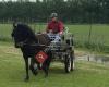 Smalltown Horse Stables