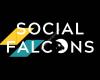 Social Falcons