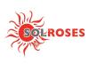 Sol Roses