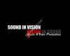 Sound in Vision in Sound