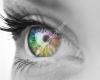 Spectrum Oogzorg, Kliniek Rozendaal