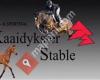 Sport en fokstal Kaaidyksterstable