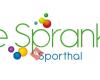 Sporthal De Sprankel