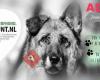 Stichting All Dogs Count