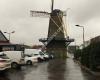 Stichting Dorpshuis Hoek