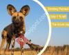 Stichting Painted Dog Conservation