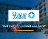 Stichting Shaare Zedek