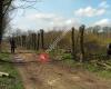 Stichting Vrijwillig Landschapsbeheer Achterhoek