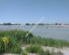 Strand van Makkum