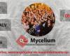 Studievereniging Mycelium