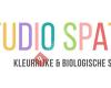 Studio Spatz