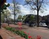 Study in Holland: обучение за рубежом в Голландии