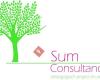 Sum consultancy