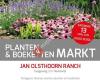 Team Westland: Planten & Boeketten markt