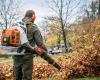 Teeuwen Tuin, Bos en Parktechniek