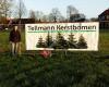 Tellmann Kerstbomen